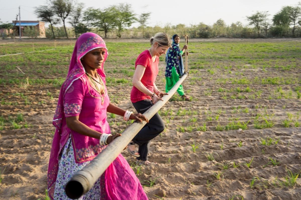 Travail des champs au Rajasthan lors d'un voyage chez l'habitant