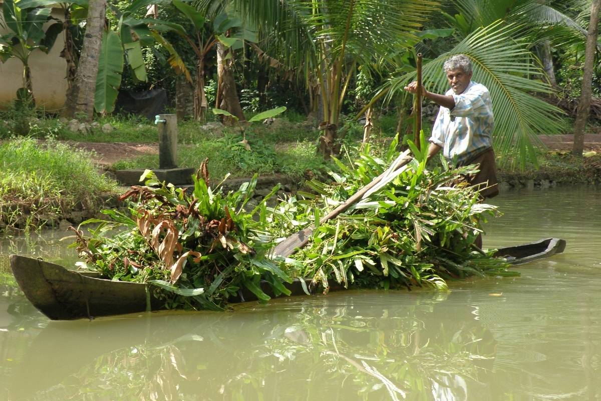 backwaters Kerala - immersion locale Kerala chez l’habitant