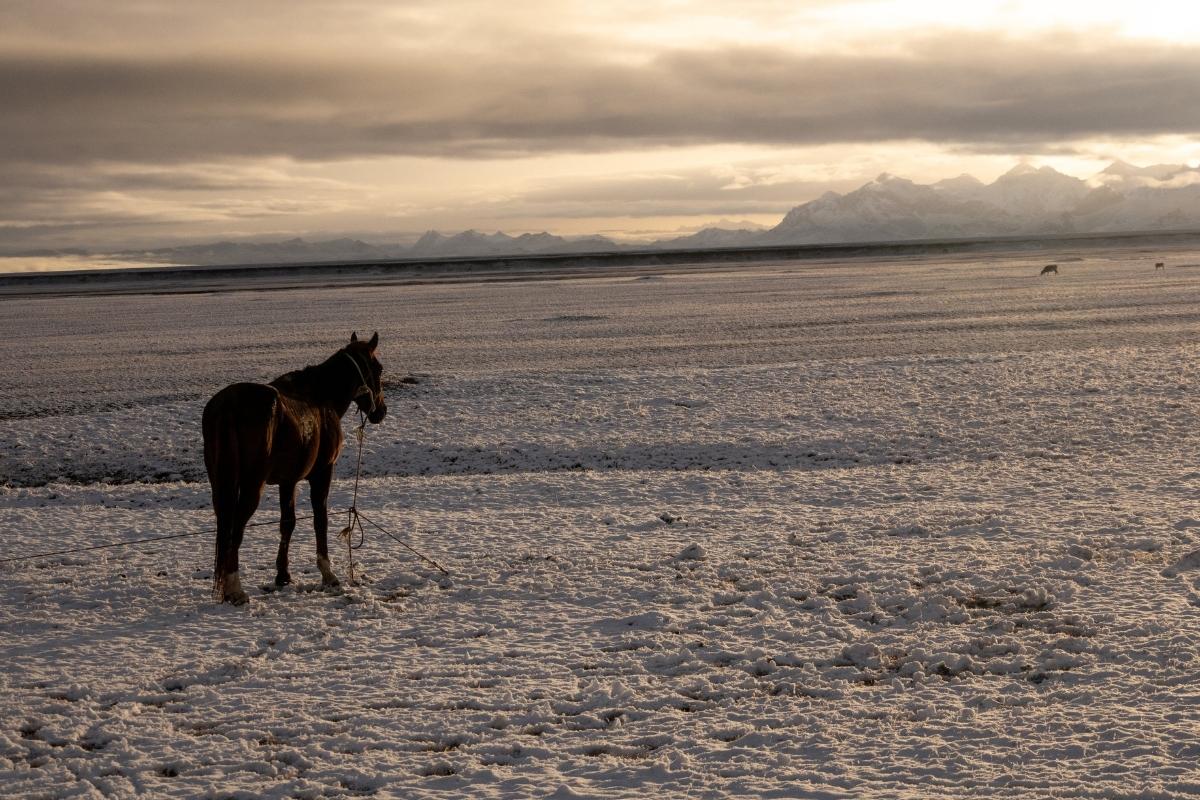 Voyage à cheval Kirghizistan